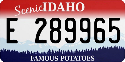 ID license plate E289965