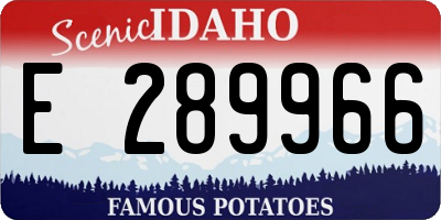 ID license plate E289966