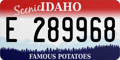 ID license plate E289968