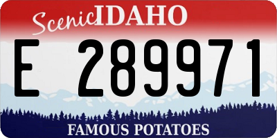 ID license plate E289971