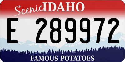 ID license plate E289972