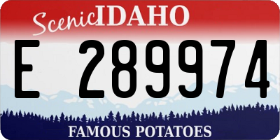 ID license plate E289974