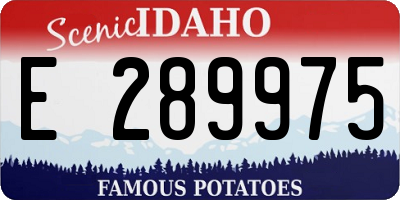 ID license plate E289975