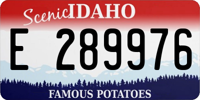 ID license plate E289976