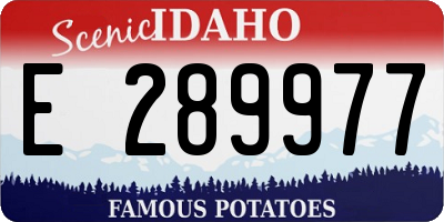 ID license plate E289977