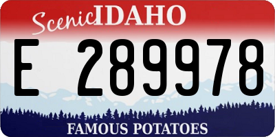 ID license plate E289978