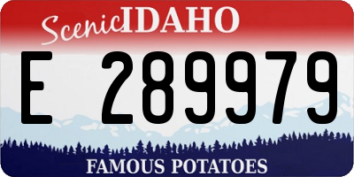 ID license plate E289979