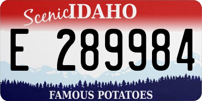 ID license plate E289984