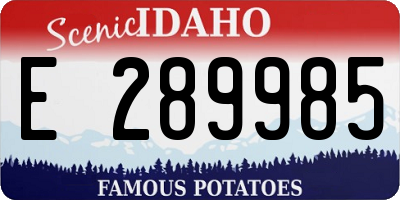 ID license plate E289985