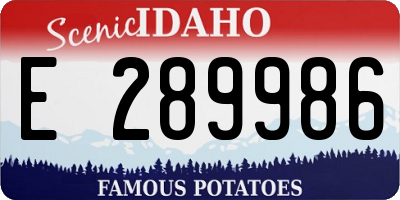 ID license plate E289986