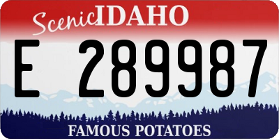 ID license plate E289987