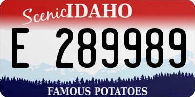 ID license plate E289989