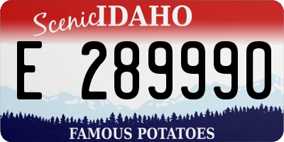 ID license plate E289990