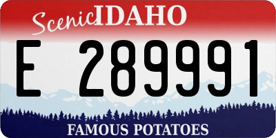 ID license plate E289991