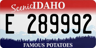 ID license plate E289992