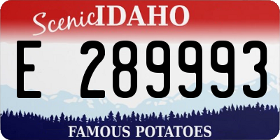 ID license plate E289993