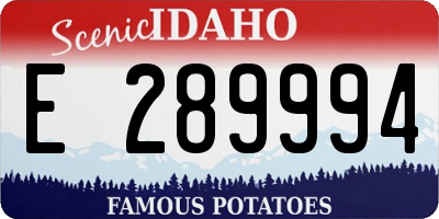 ID license plate E289994
