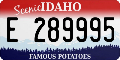 ID license plate E289995