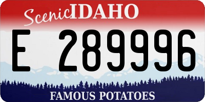 ID license plate E289996