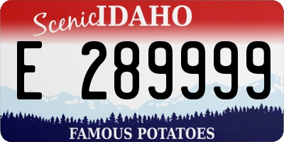 ID license plate E289999
