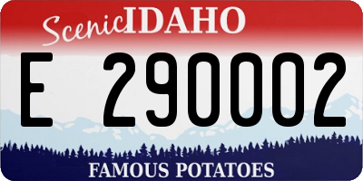ID license plate E290002