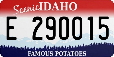 ID license plate E290015