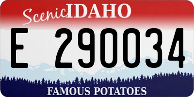 ID license plate E290034