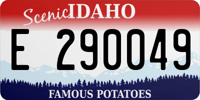 ID license plate E290049