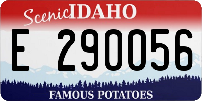 ID license plate E290056
