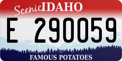 ID license plate E290059