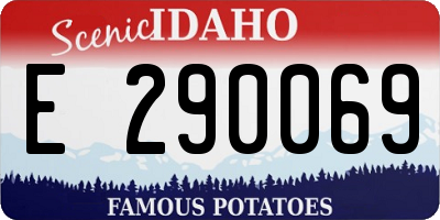 ID license plate E290069