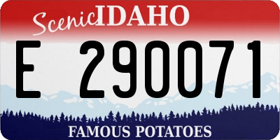 ID license plate E290071