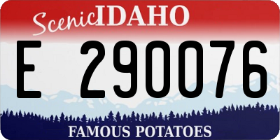 ID license plate E290076