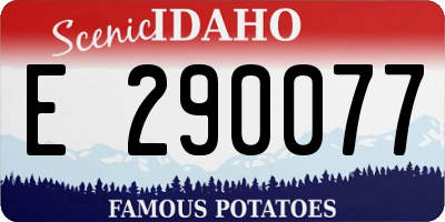 ID license plate E290077