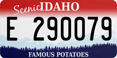 ID license plate E290079