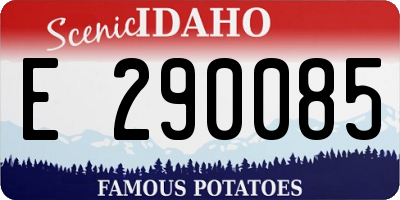 ID license plate E290085