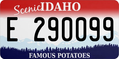 ID license plate E290099