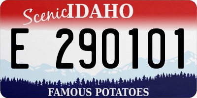 ID license plate E290101