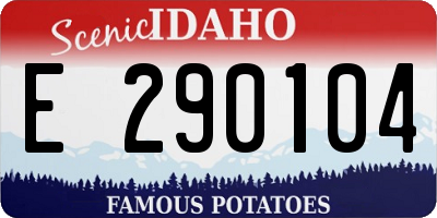 ID license plate E290104