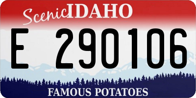 ID license plate E290106