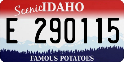 ID license plate E290115