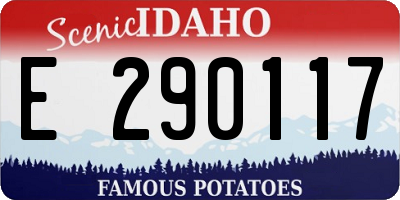 ID license plate E290117