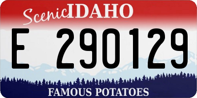 ID license plate E290129