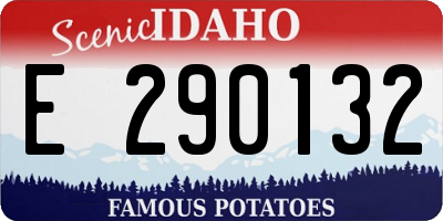 ID license plate E290132
