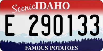 ID license plate E290133