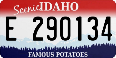 ID license plate E290134
