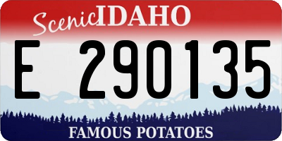 ID license plate E290135