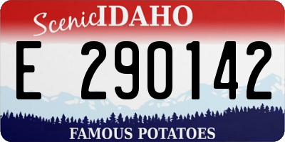 ID license plate E290142