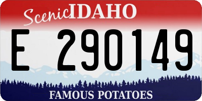 ID license plate E290149