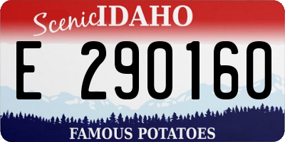 ID license plate E290160
